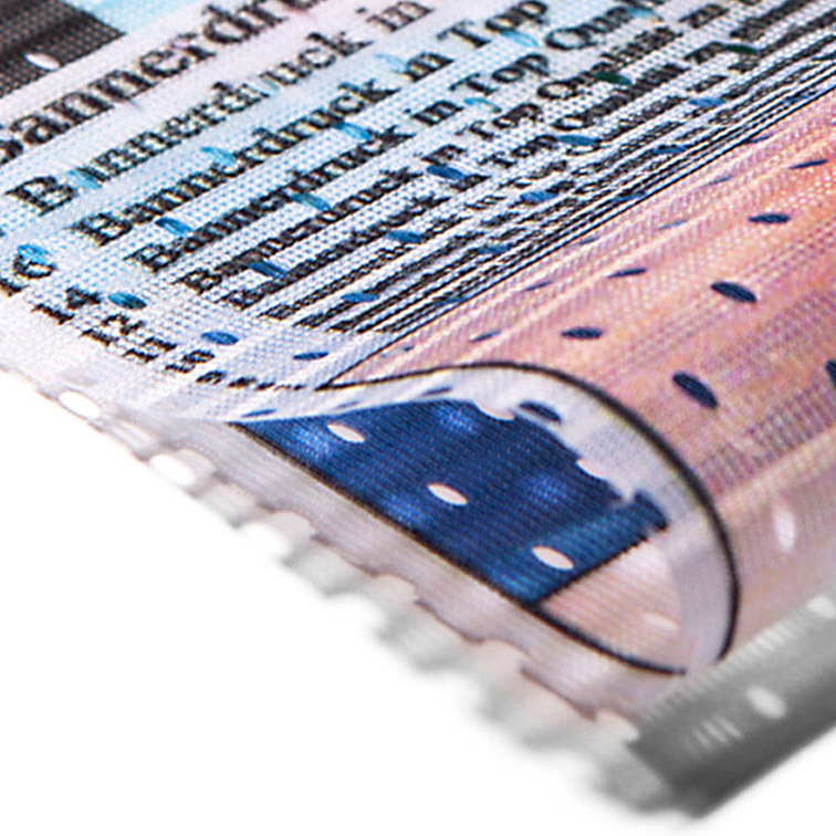 Velum-Flag Mesh